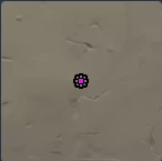 特戰英豪搞笑準星:小花